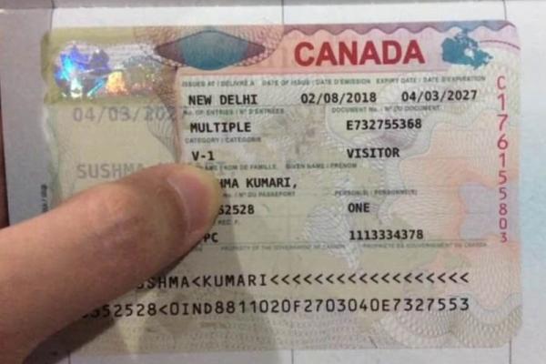 Kinh nghiệm xin visa Canada từ Mỹ tỷ lệ thành công cao