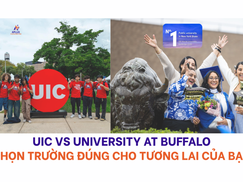 uic hay unibuffalo